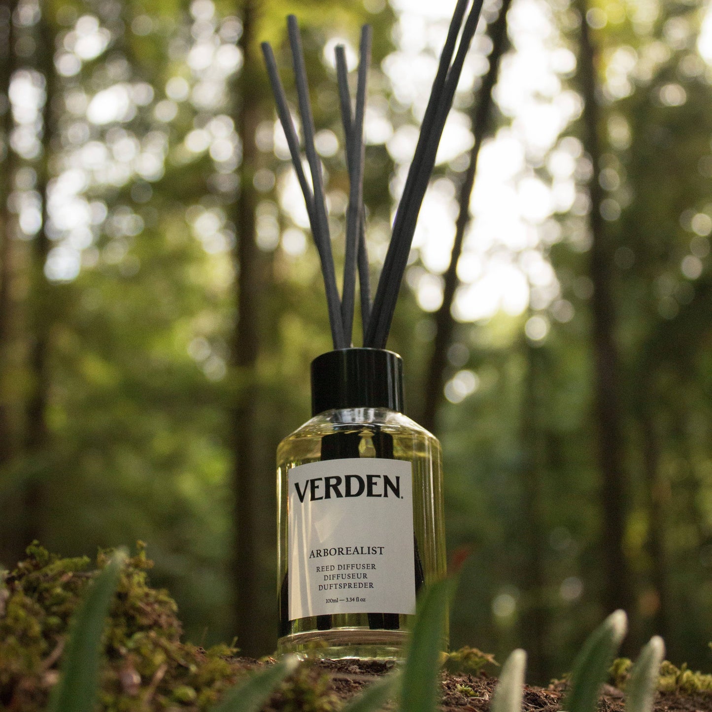 ARBOREALIST REED DIFFUSER, 100% Natural & Compostable Reeds