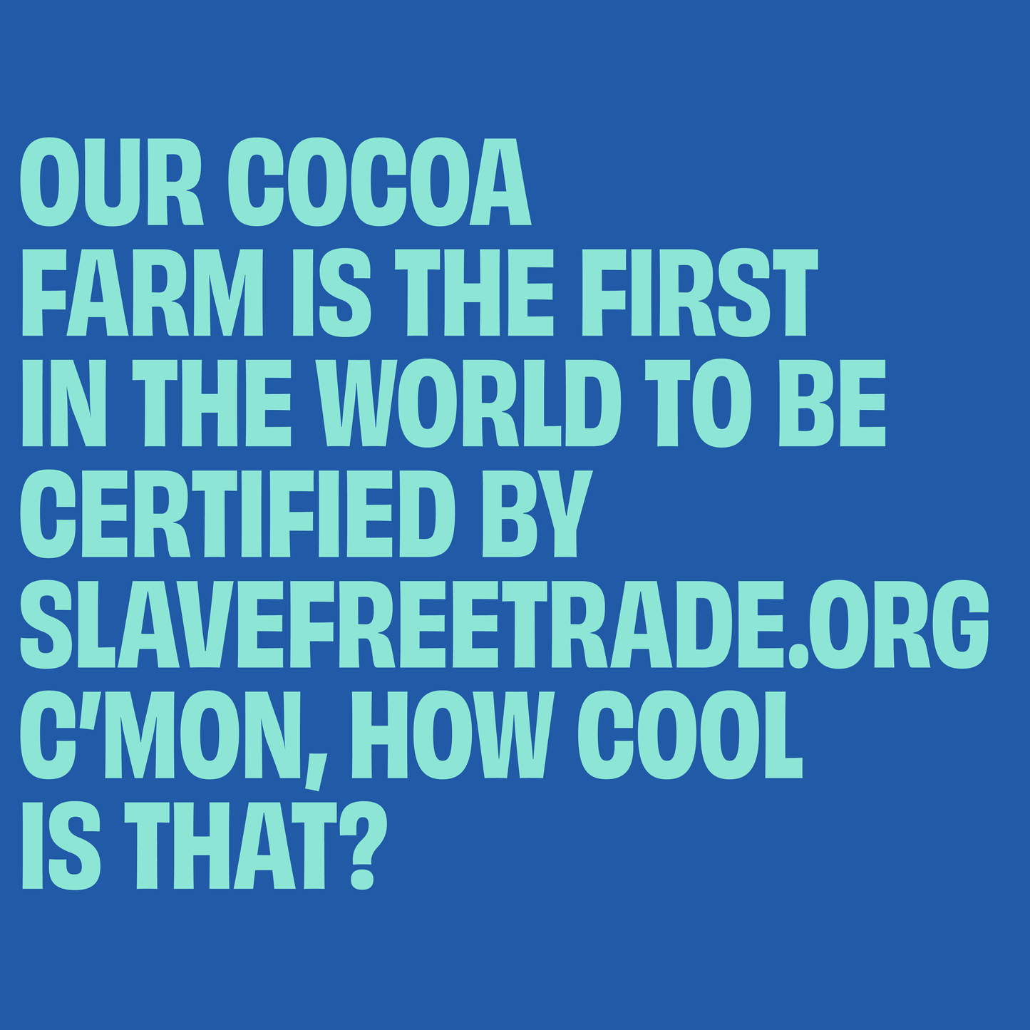 Wild Mint Dark Chocolate Bar 120G/4.2OZ