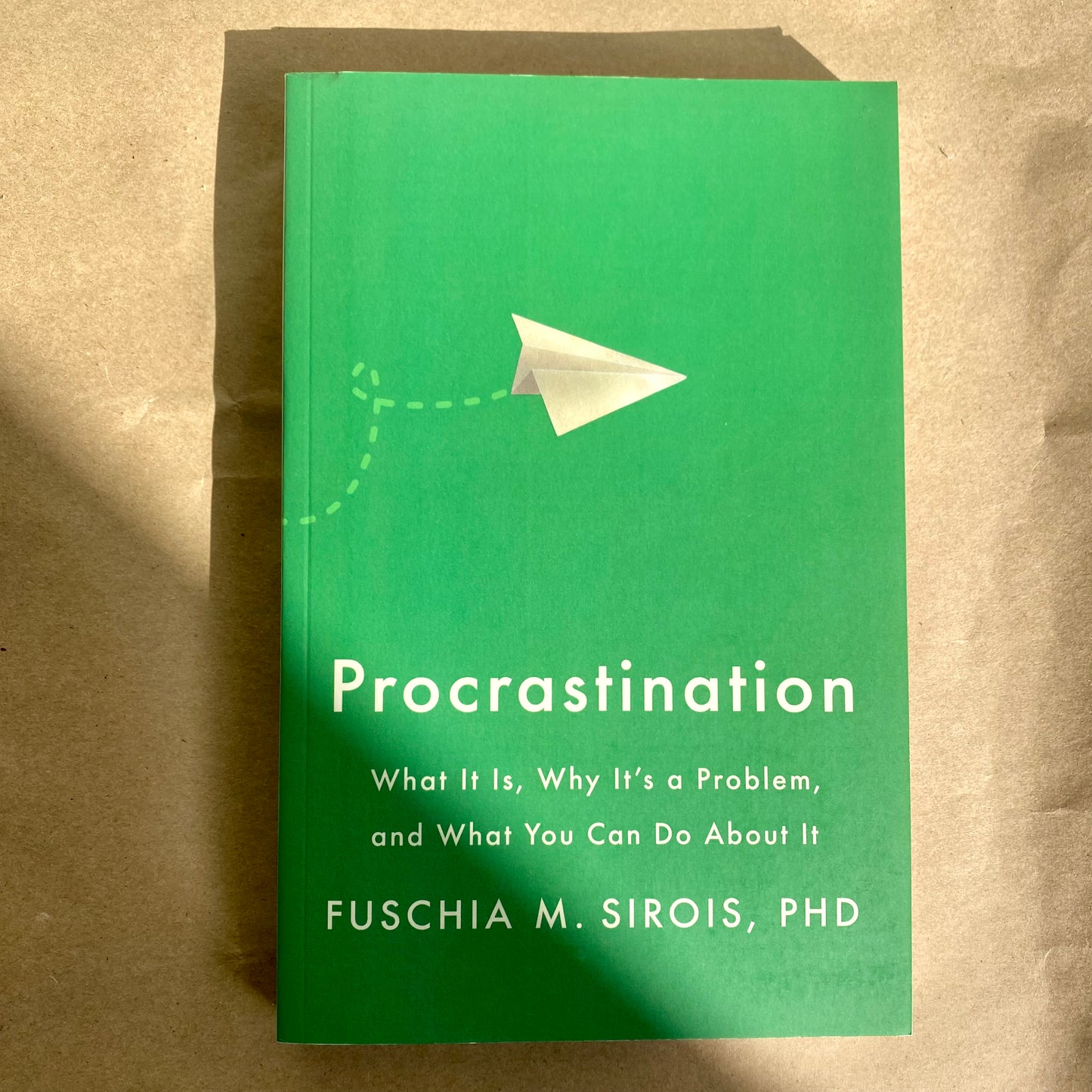 Procrastination by Fuschia M. Sirois