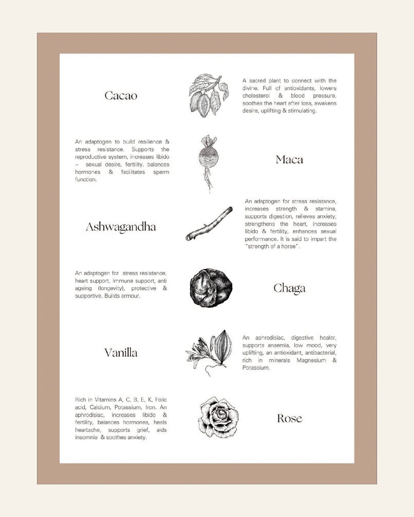 Aphrodite Cacao – adaptogenic cacao for love & vitality